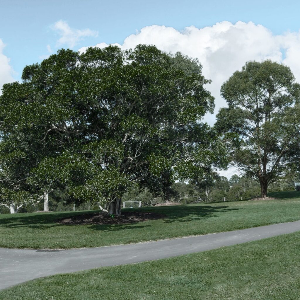 Cooroy Mt Driveway